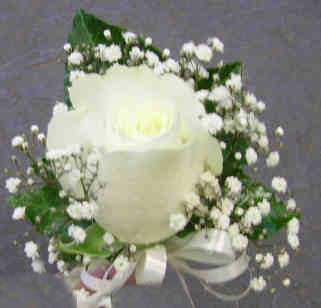 Eileen Jenkins Cream Rose Buttonhole